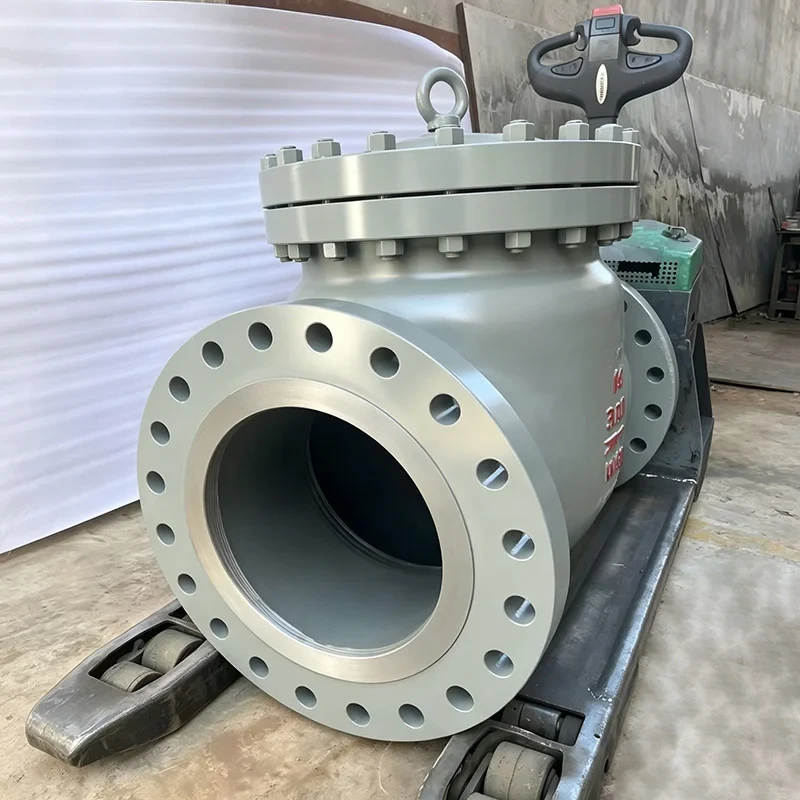 Detailed Overview of API 6D Check Valve Structural Types and Application Scenarios